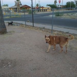 Meet your Posher, Lesley